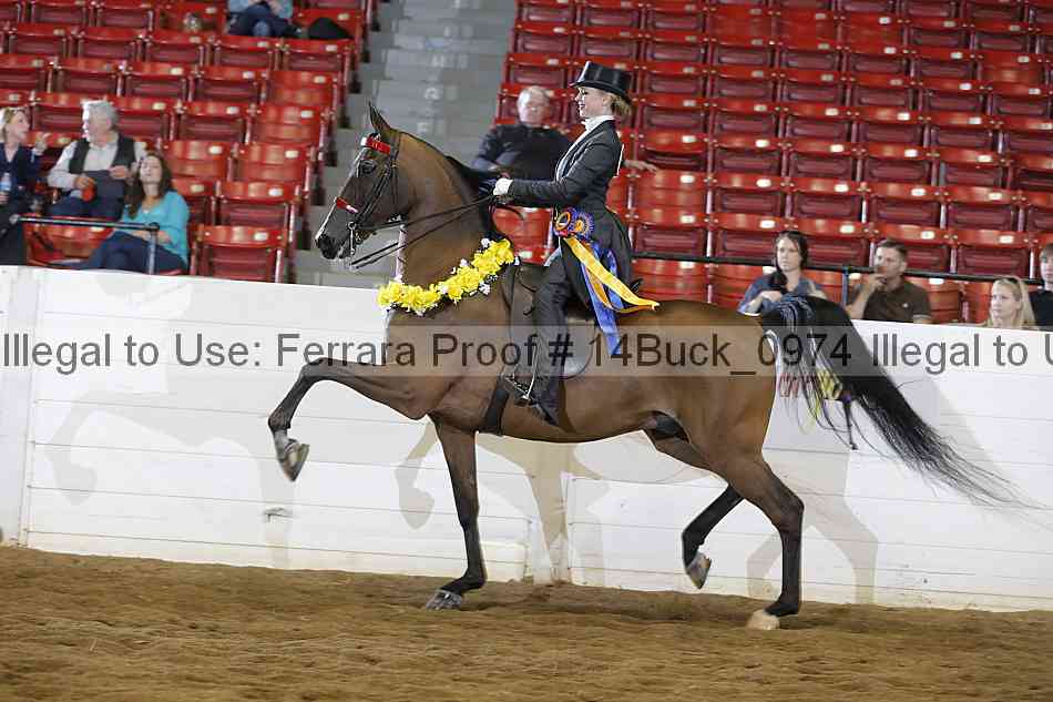 Proof 14buck_0974