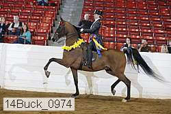 14buck_0974 proof