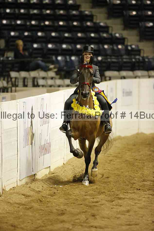 Proof 14buck_0975