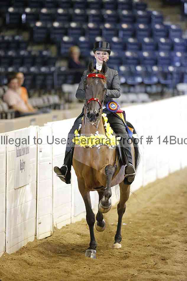 Proof 14buck_0976