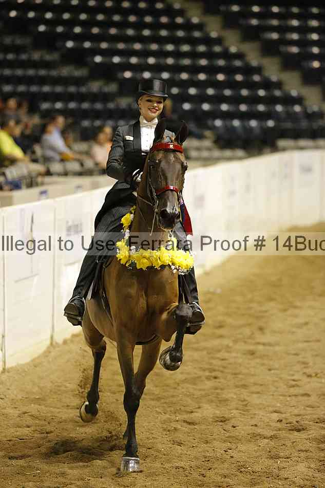 Proof 14buck_0977