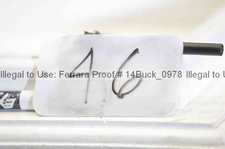 Proof 14buck_0978