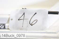 14buck_0978 proof