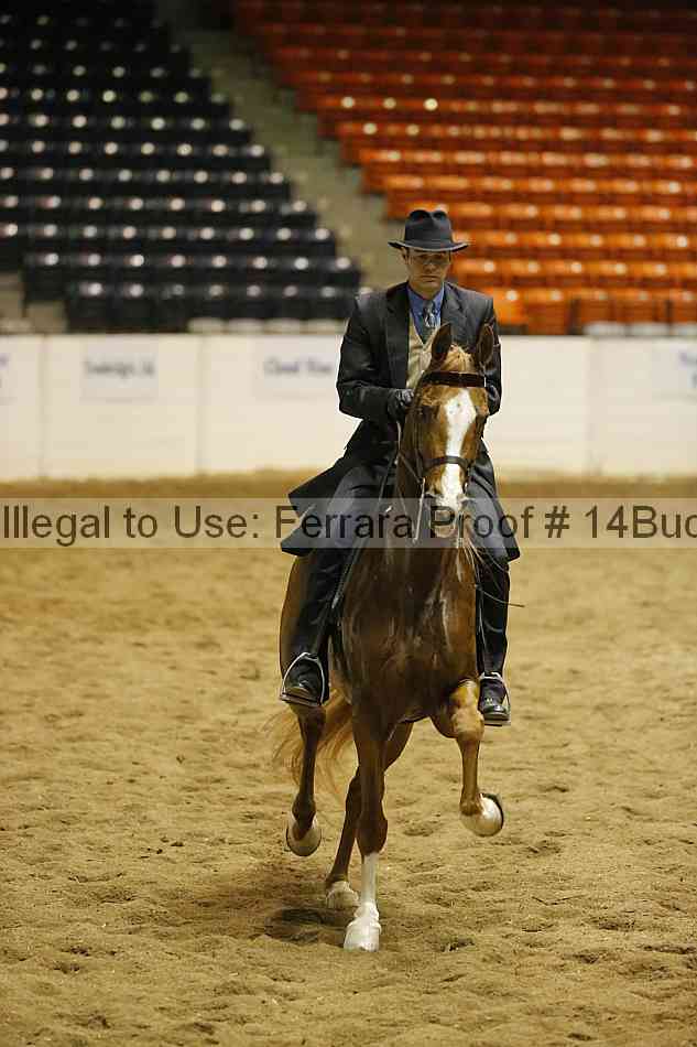 Proof 14buck_0980