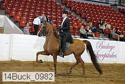 14buck_0982 proof