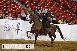 14buck_0983 proof