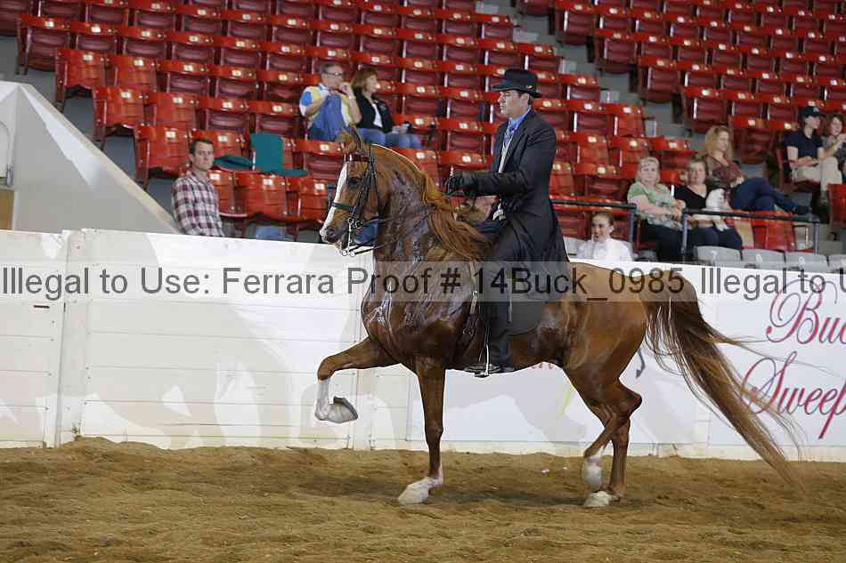 Proof 14buck_0985
