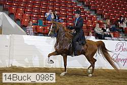 14buck_0985 proof
