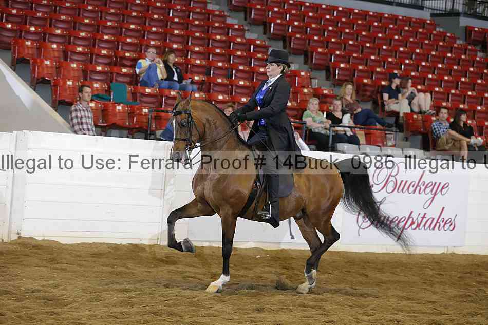 Proof 14buck_0986
