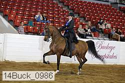 14buck_0986 proof