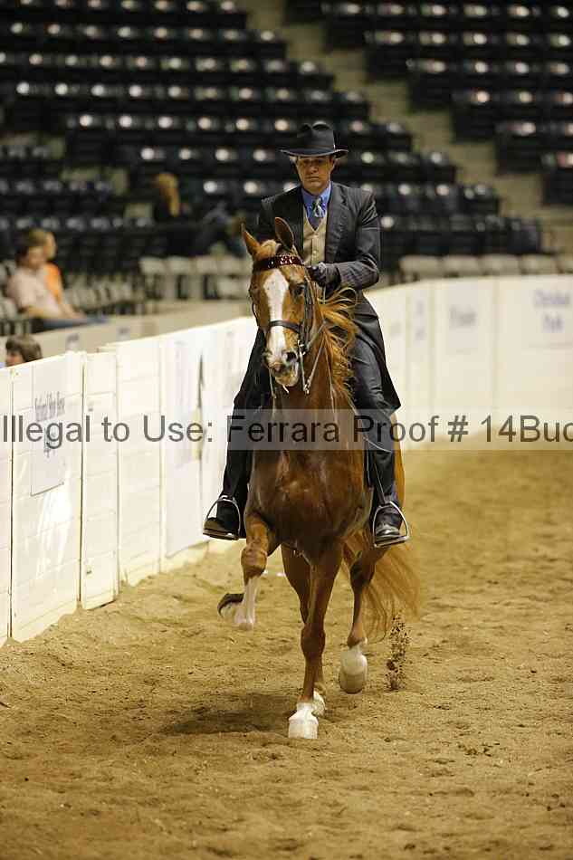 Proof 14buck_0987