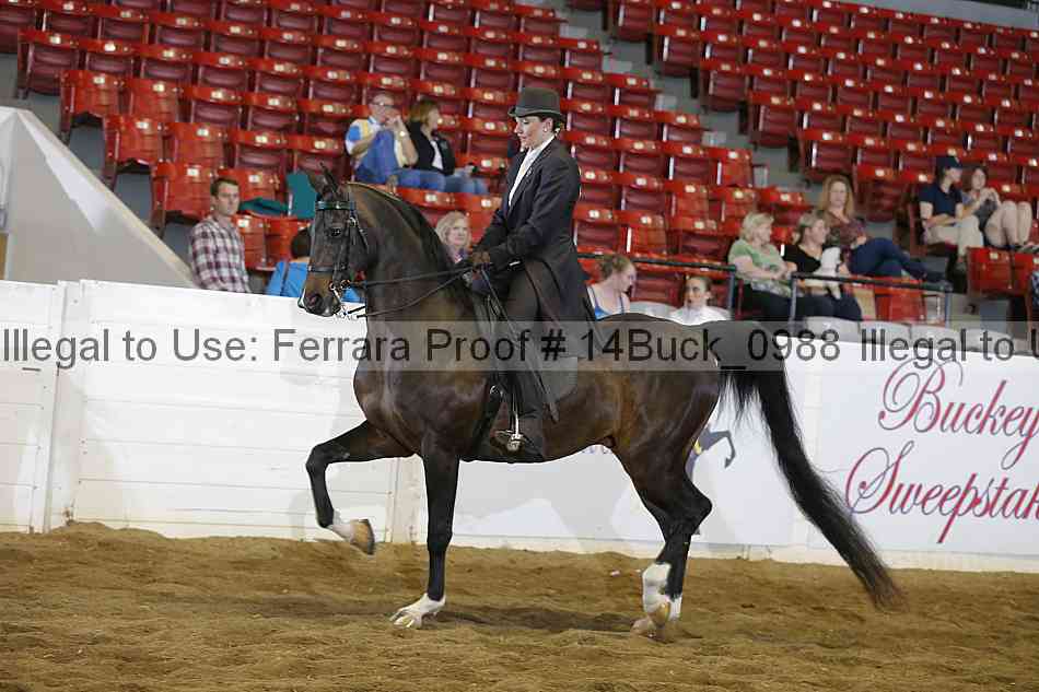 Proof 14buck_0988