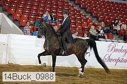 14buck_0988 proof
