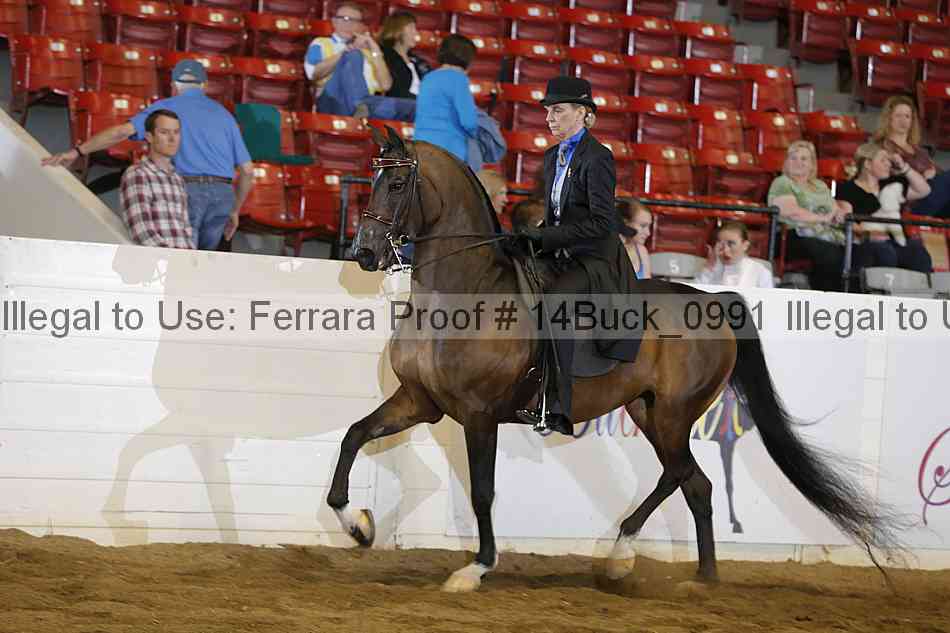Proof 14buck_0991