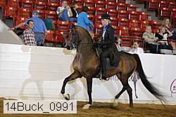 14buck_0991 proof