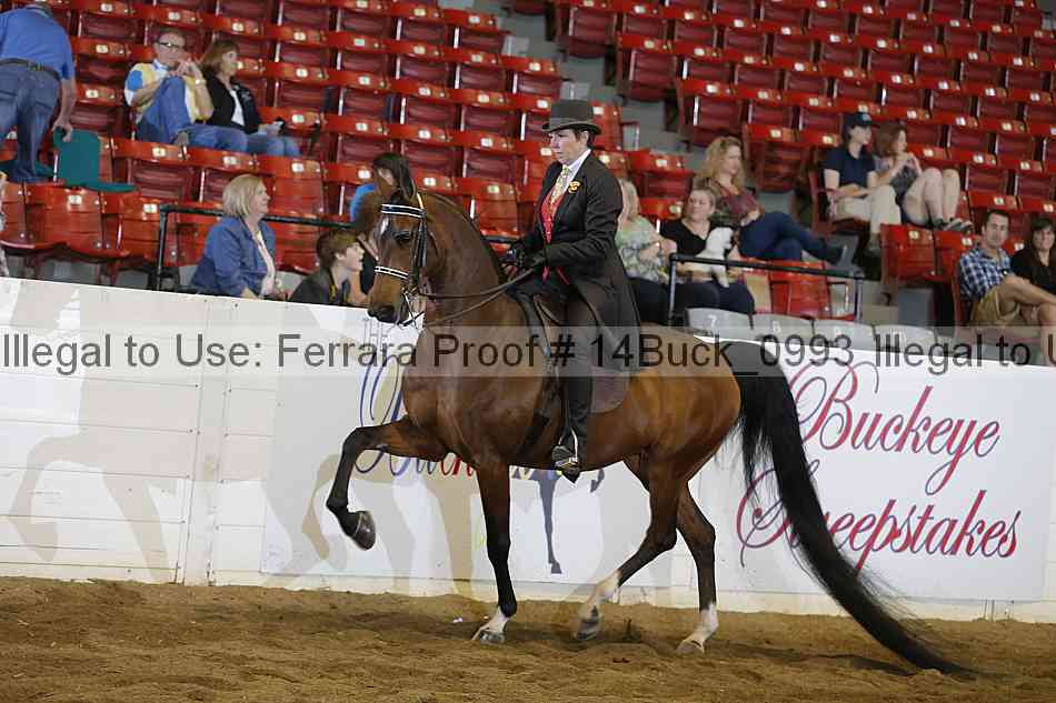 Proof 14buck_0993
