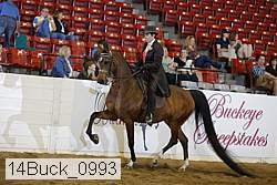 14buck_0993 proof