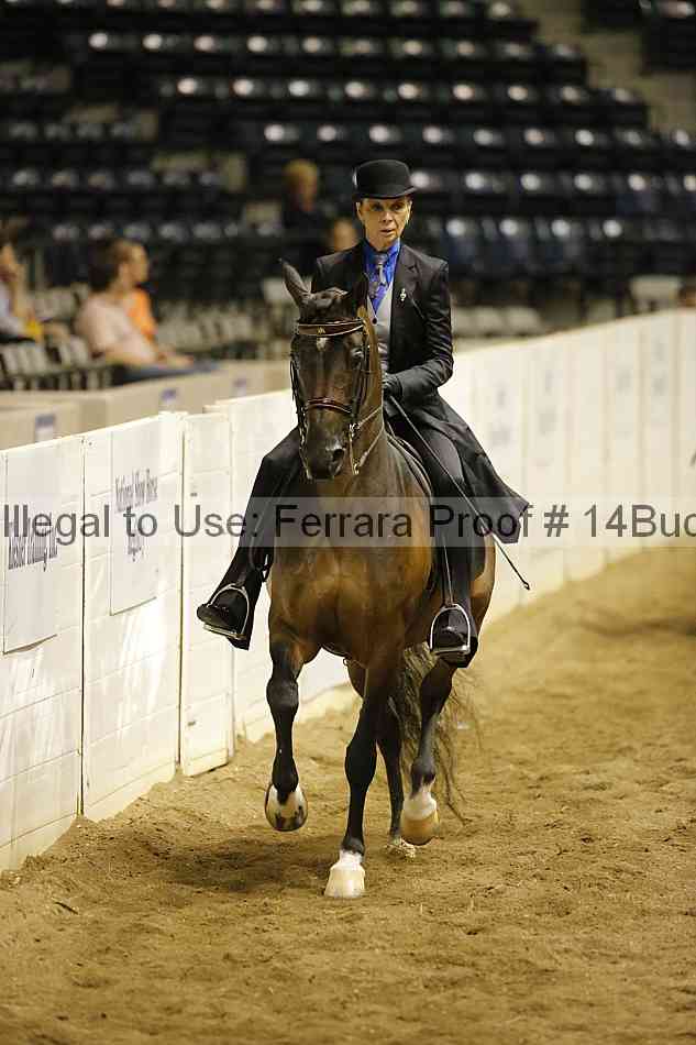 Proof 14buck_0994