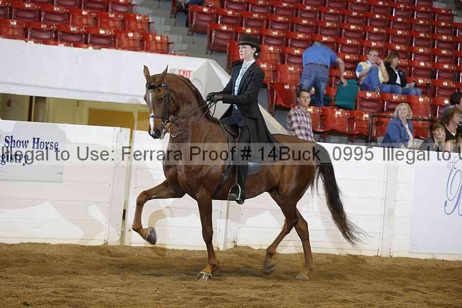 Proof 14buck_0995