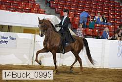 14buck_0995 proof