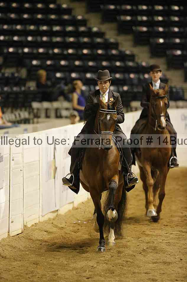 Proof 14buck_0996