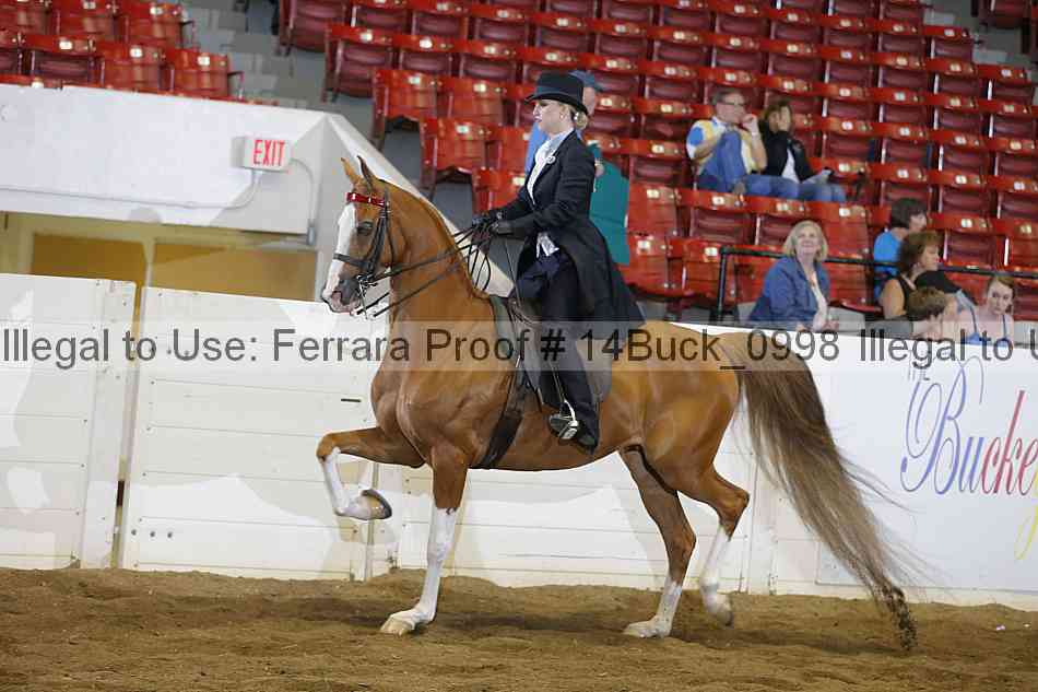Proof 14buck_0998