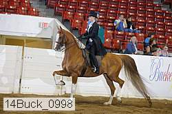 14buck_0998 proof