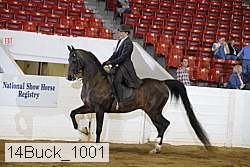 14buck_1001 proof