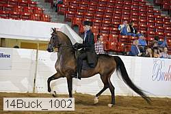 14buck_1002 proof