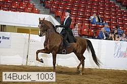 14buck_1003 proof