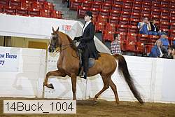 14buck_1004 proof