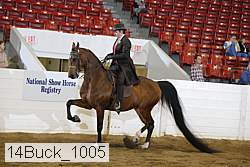 14buck_1005 proof