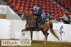 14buck_1006 proof