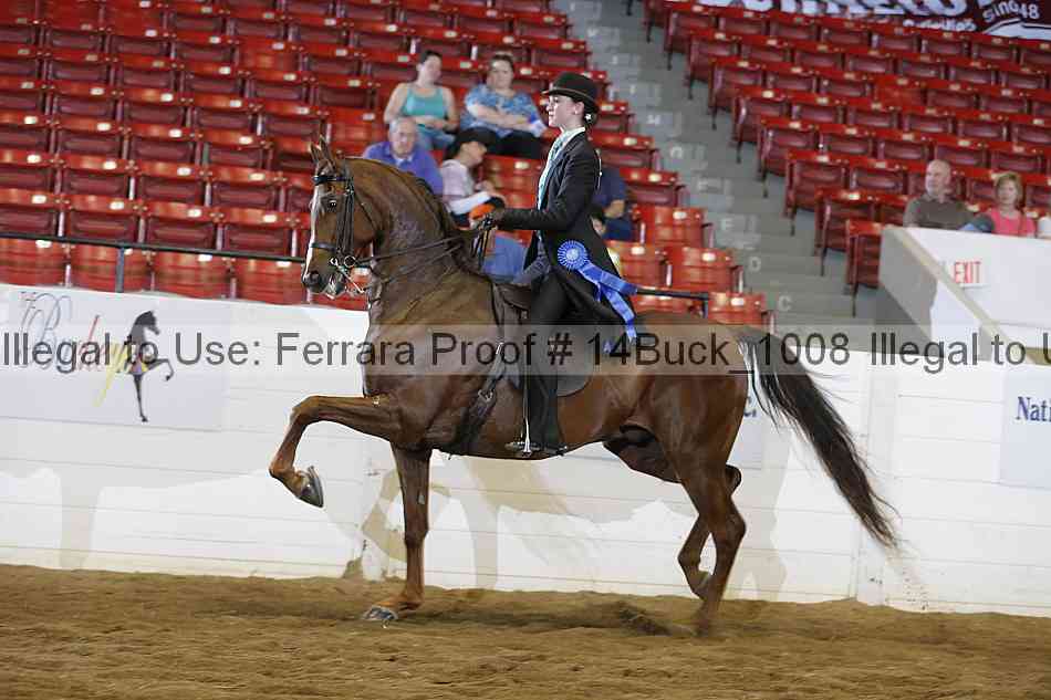 Proof 14buck_1008