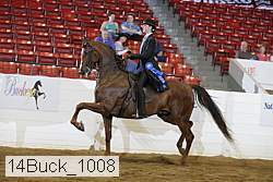 14buck_1008 proof