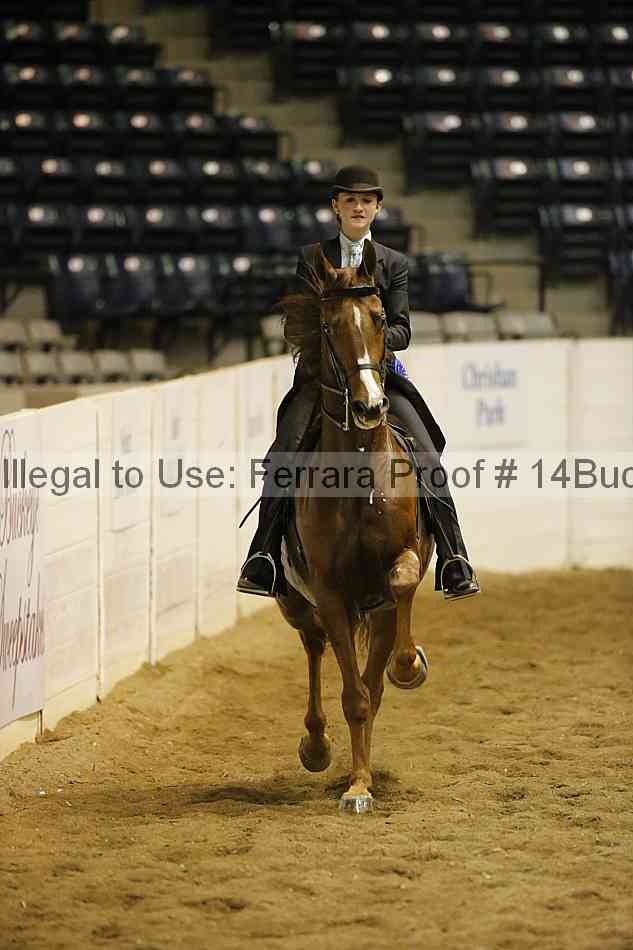 Proof 14buck_1009