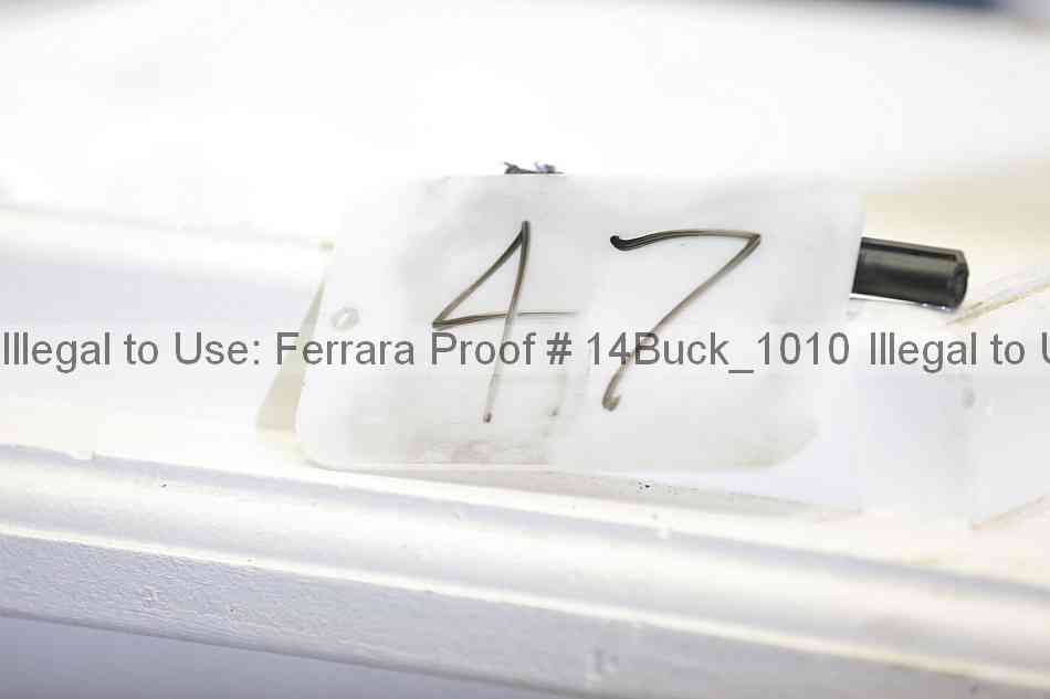 Proof 14buck_1010