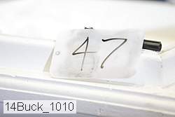 14buck_1010 proof