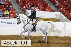 14buck_1011 proof