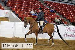 14buck_1012 proof