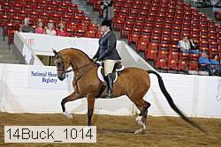14buck_1014 proof