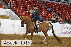 14buck_1015 proof