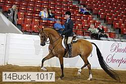 14buck_1017 proof