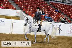 14buck_1020 proof