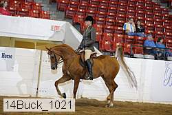14buck_1021 proof