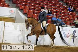 14buck_1023 proof