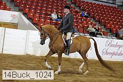 14buck_1024 proof