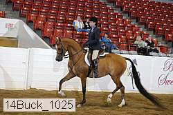 14buck_1025 proof