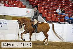 14buck_1026 proof