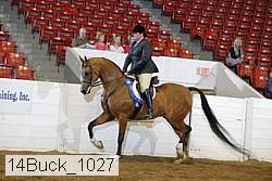 14buck_1027 proof